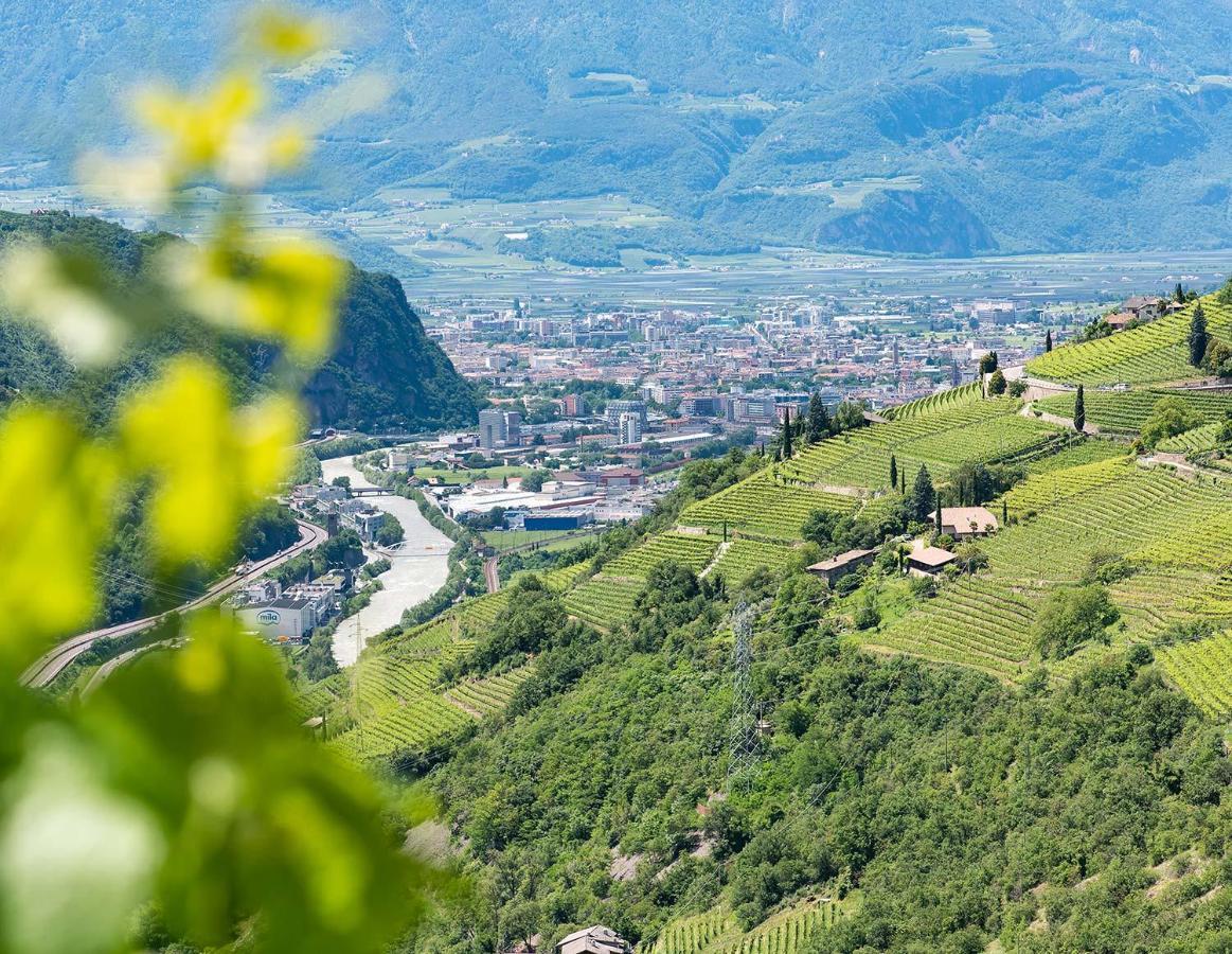 Weingut Schmid Oberrautner Apartment Suites Bolzano Zewnętrze zdjęcie